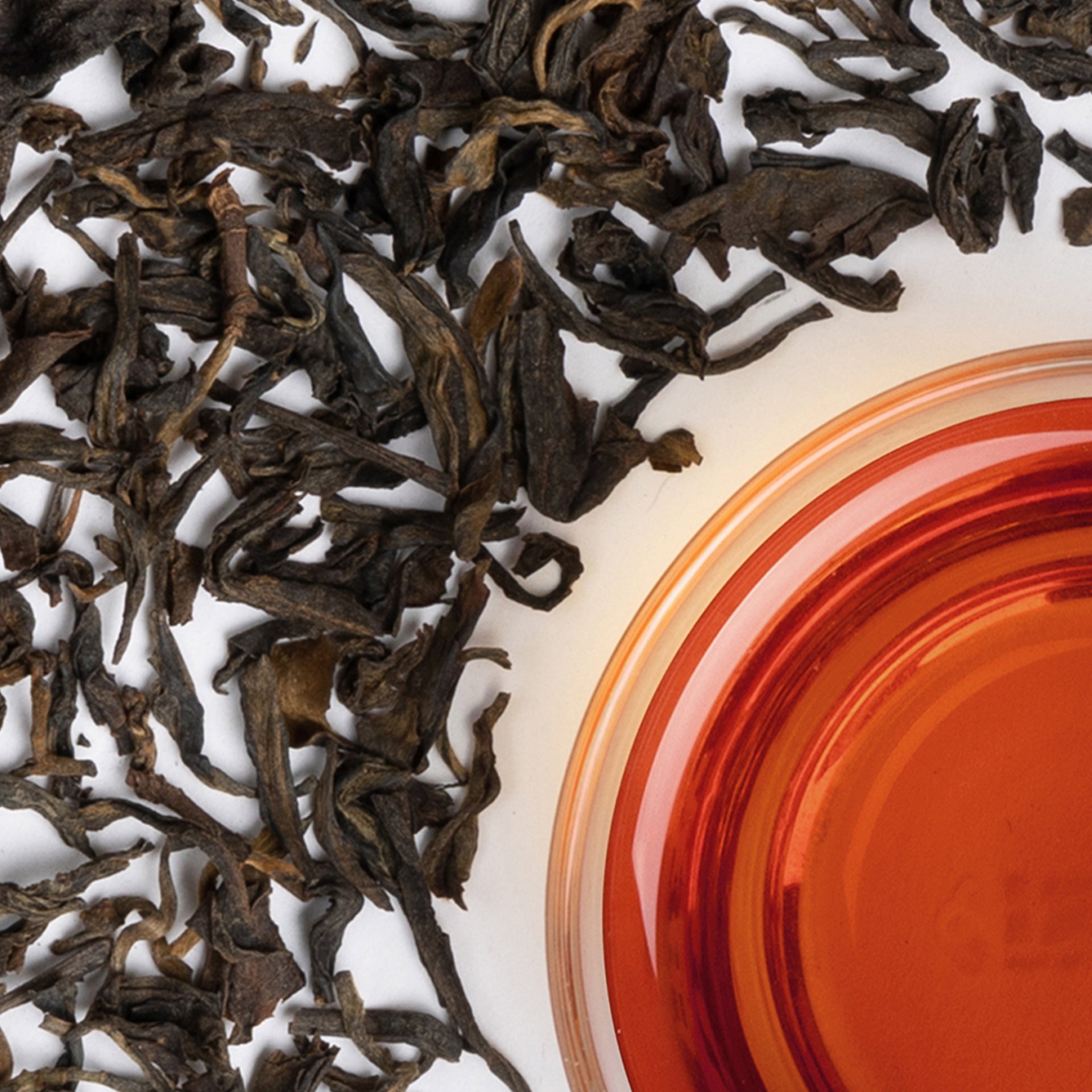 Yunnan Camphor PU'ER