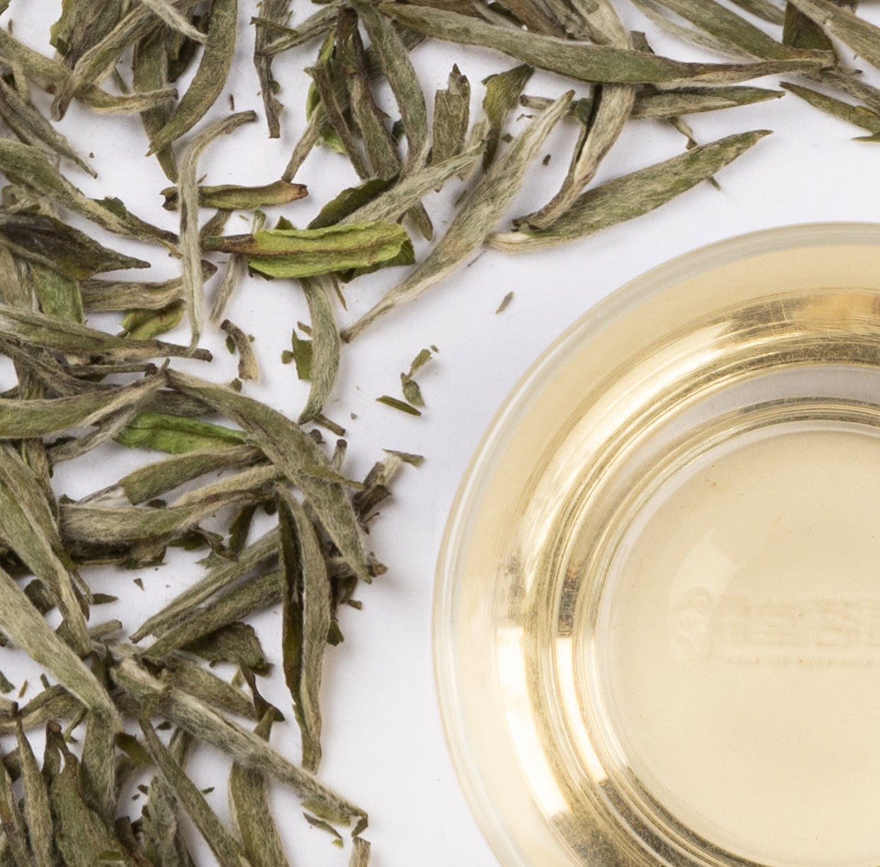 Fuding SILVER NEEDLE (2025 Spring Tea)