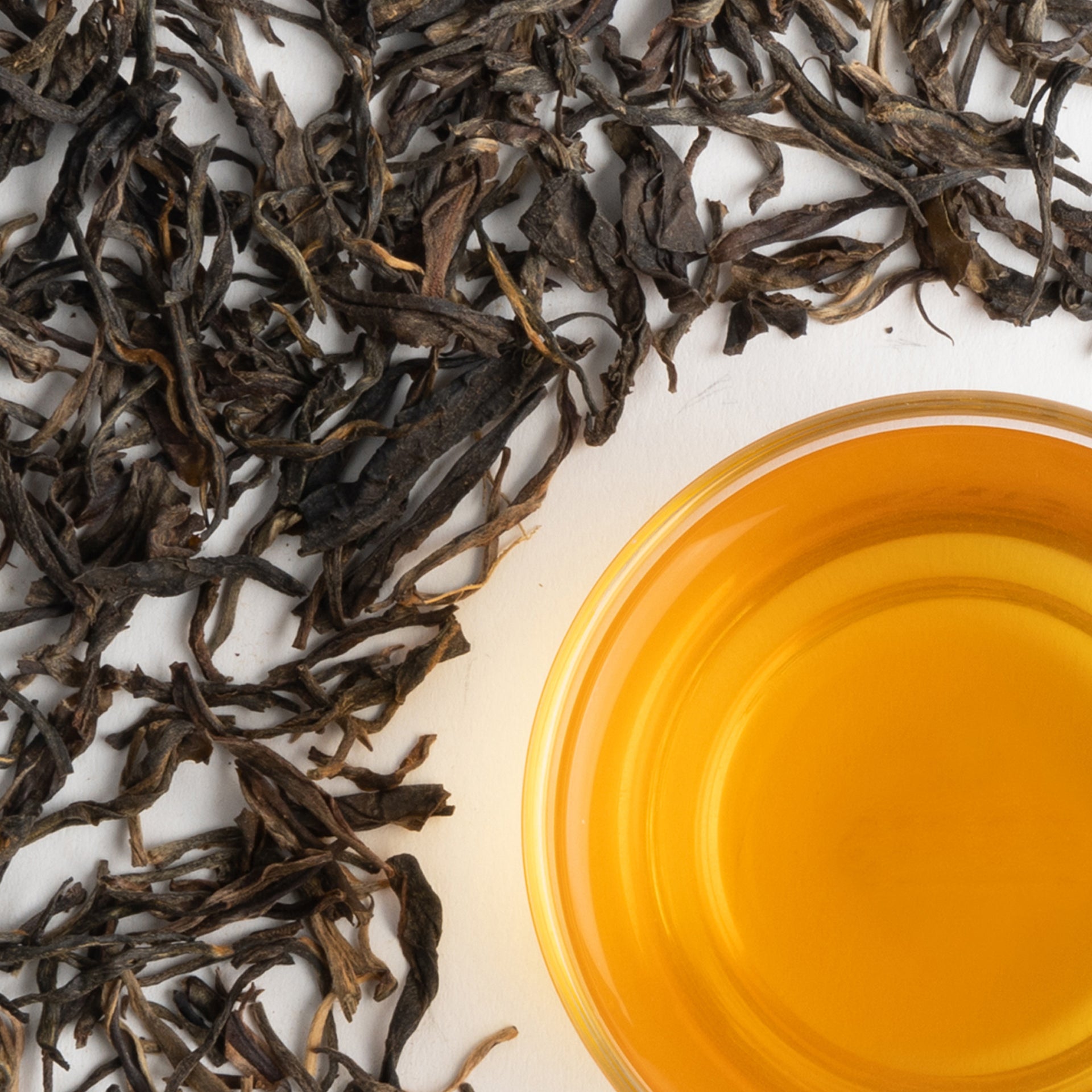 Wuyi Tea Master Select Jin Jun Mei (2025 Spring Tea)