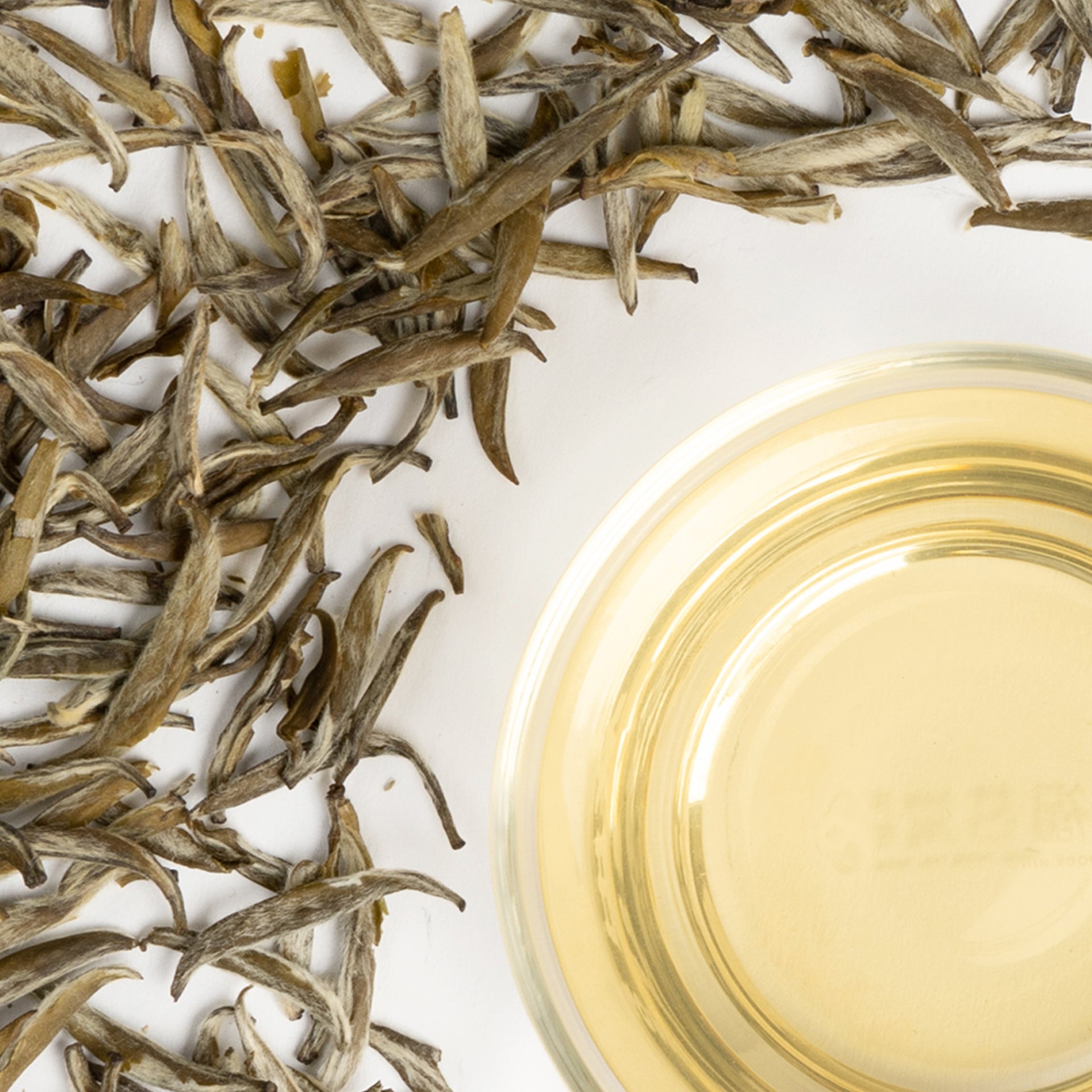 Fuding JASMINE SILVER NEEDLE (2025 New Tea)