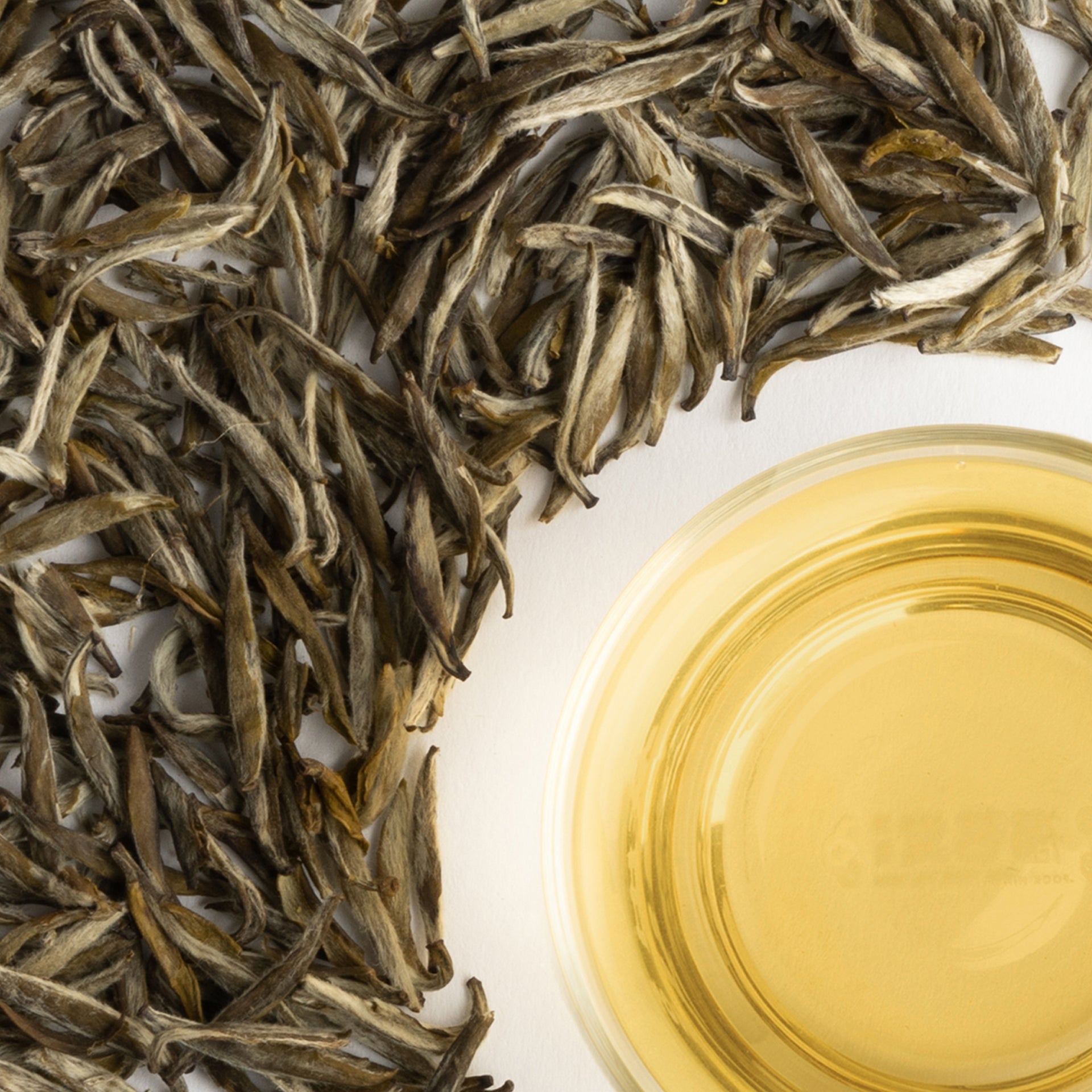 Fuding Tea Master Select JASMINE SILVER NEEDLE (2025 New Tea)