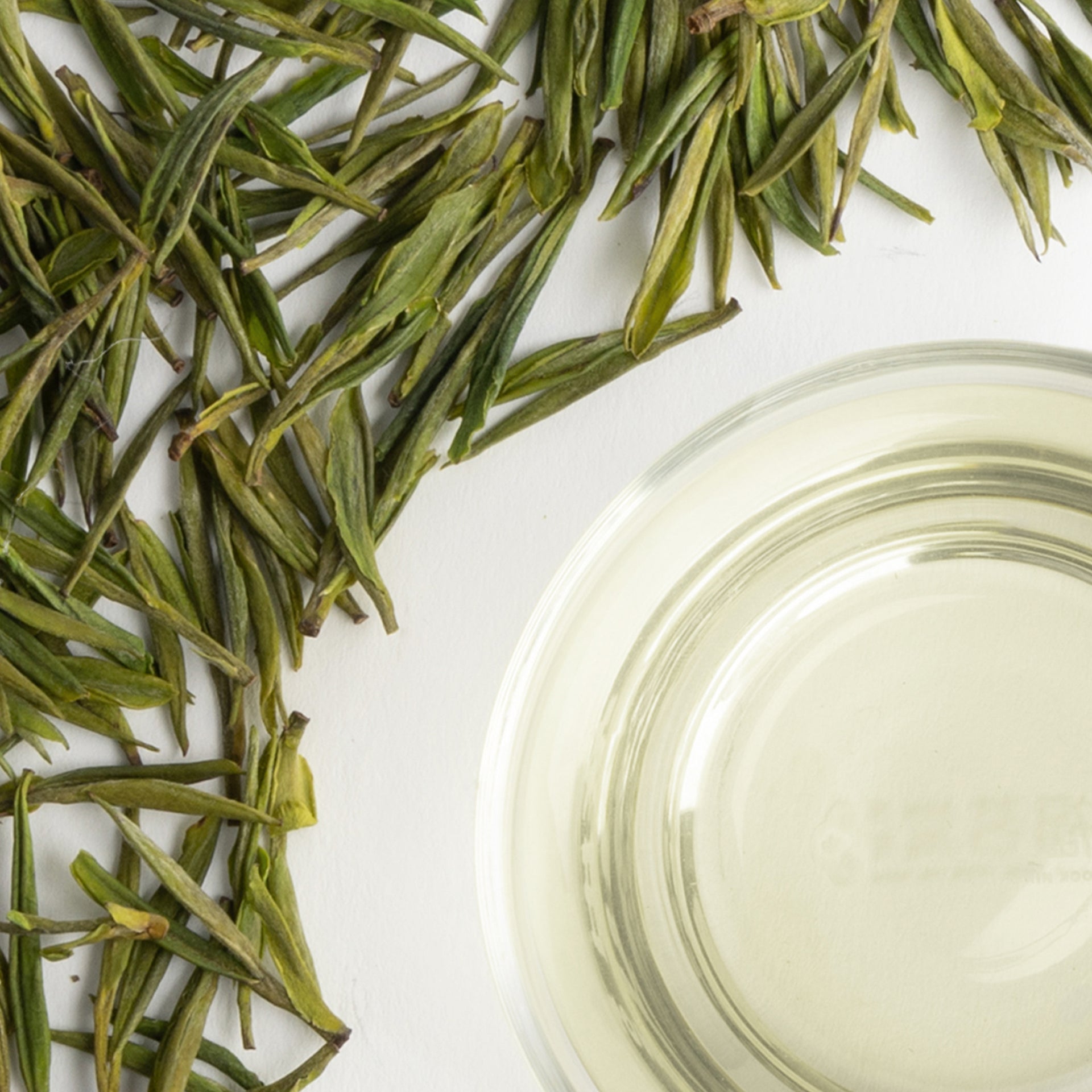 Anji WHITE TEA (2025 Spring Tea)